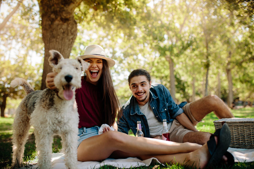 Couple on Picnic with Pet Dog